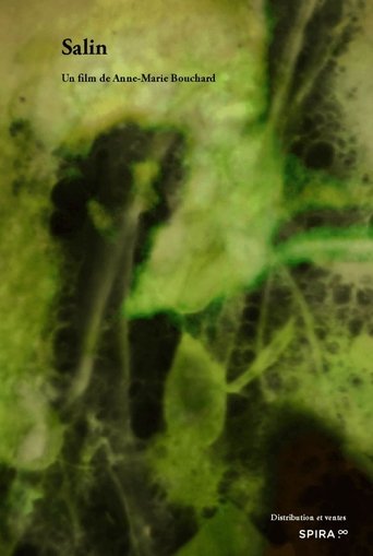 Poster of Salin