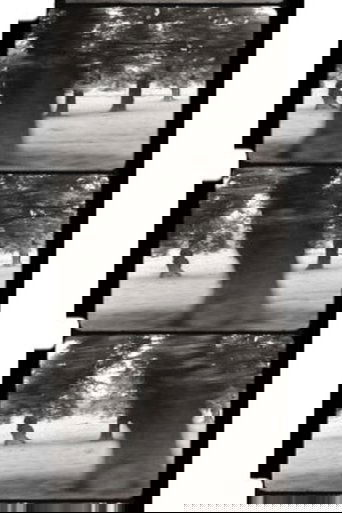 Poster of Motion Parallax