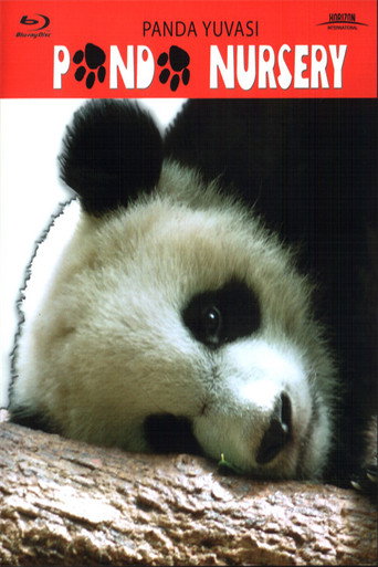 Poster of Panda Nursery