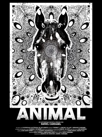 Poster of Animal