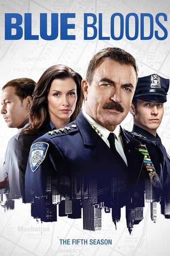 Portrait for Blue Bloods - Season 5