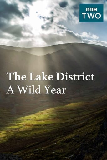 Poster of The Lake District: A Wild Year