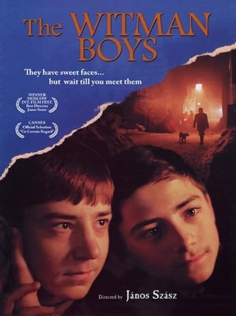 Poster of The Witman Boys