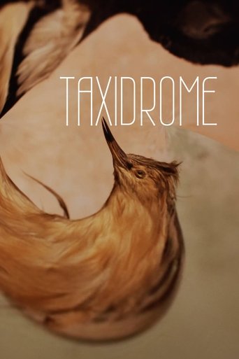 Taxidrome Poster of Taxidrome