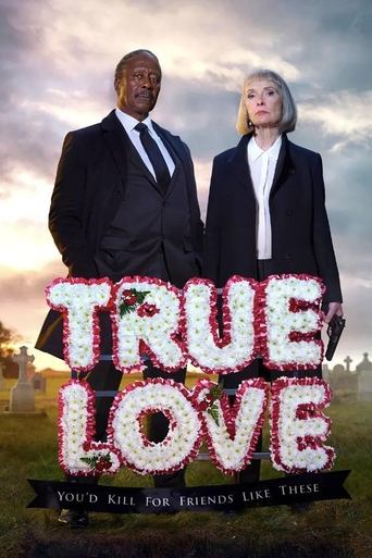 Poster of Truelove