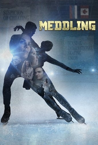Meddling Poster of Meddling