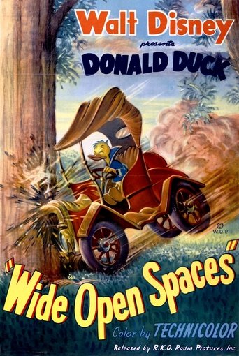 Wide Open Spaces Poster of Wide Open Spaces