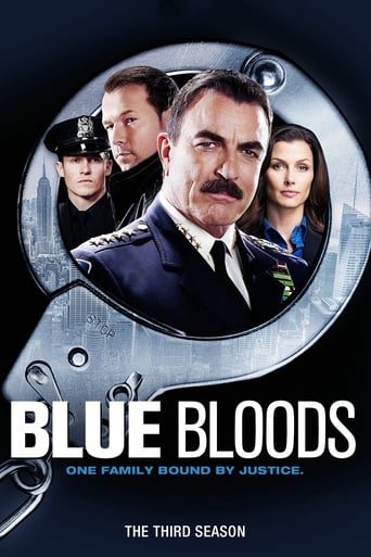 Portrait for Blue Bloods - Season 3