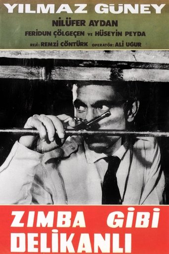 Poster of Zımba Gibi Delikanlı