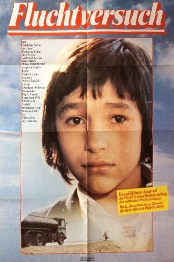 Poster of Attempted Flight