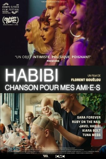 Poster of Habibi, chanson pour mes ami·e·s