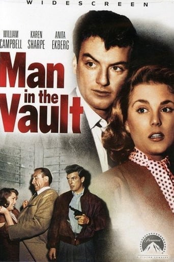 Poster of Man in the Vault
