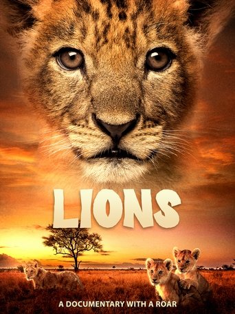 Lions Poster of Lions