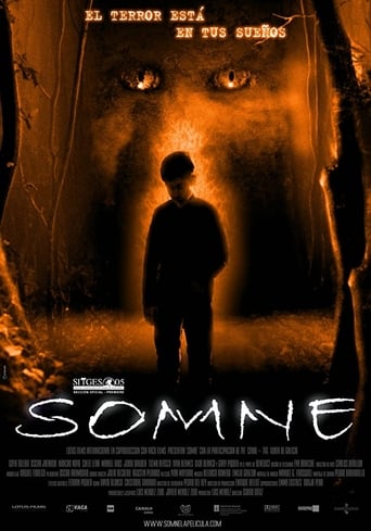 Poster of Somne