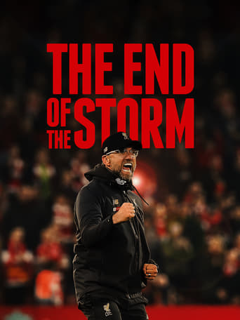 Poster of The End of the Storm
