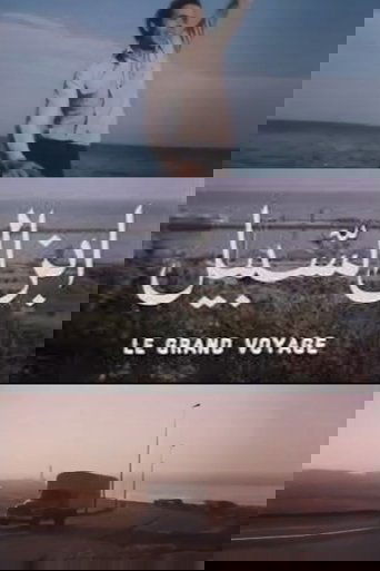 Poster of The Big Trip