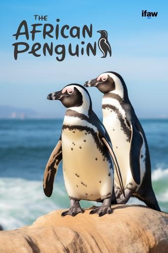 Poster of The African Penguin