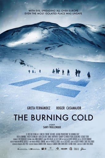 Poster of The Burning Cold