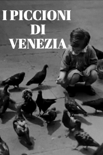 Poster of I piccioni di Venezia