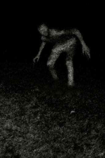Stalking Poster of Stalking