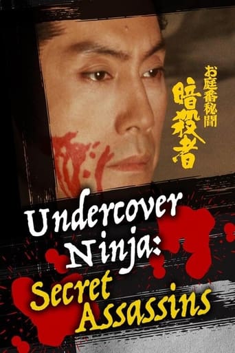 Poster of Undercover Ninja: Secret Assassins