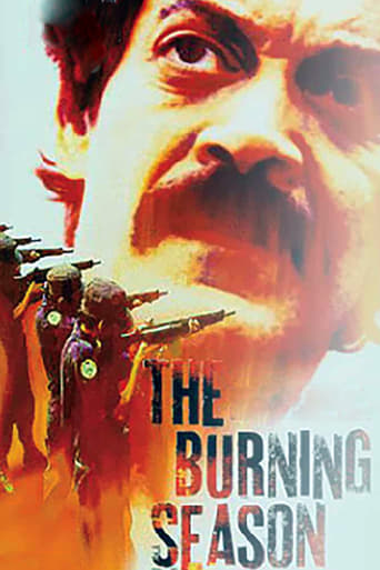 Poster of The Burning Season