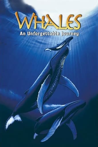 Poster of Whales: An Unforgettable Journey