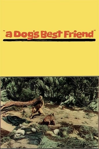 Poster of A Dog's Best Friend