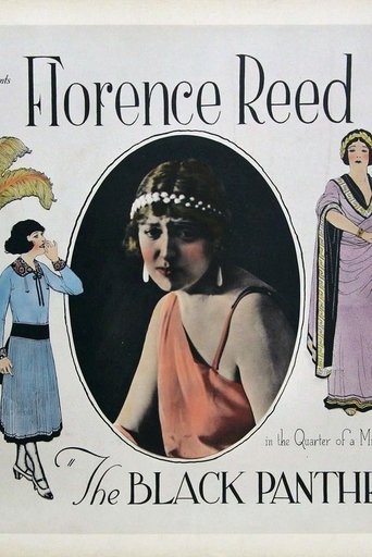 Poster of The Black Panther's Cub