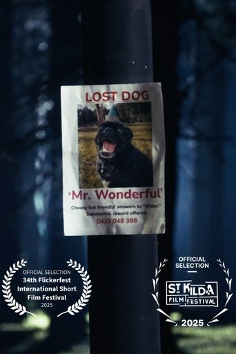 Poster of Mr. Wonderful