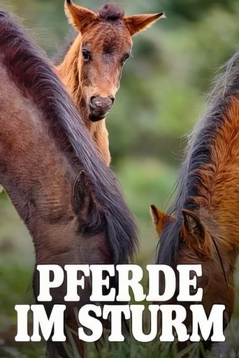 Poster of Pferde im Sturm - Das wilde Herz Sardiniens