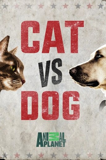 Cat vs. Dog Poster of Cat vs. Dog