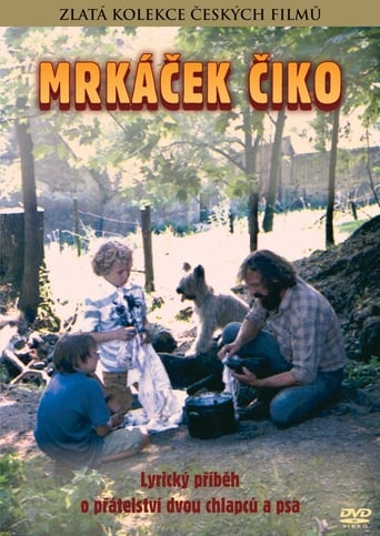 Poster of Blinker-Ciko