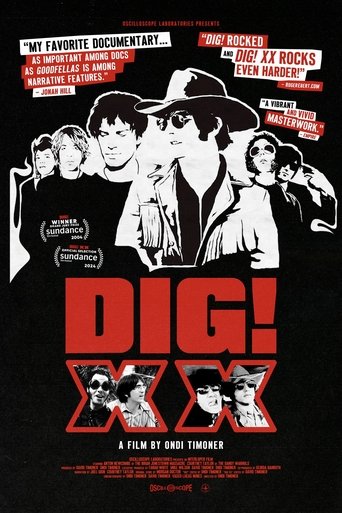 Poster of DIG! XX