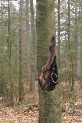 Poster of Carte Blanche