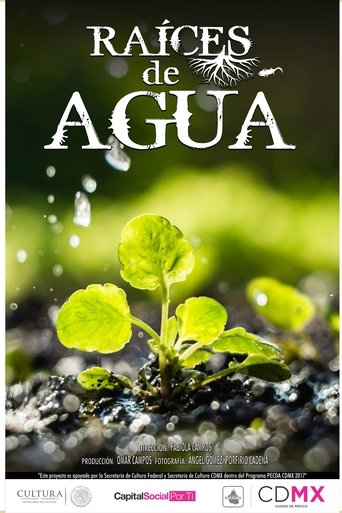 Poster of Raíces de Agua