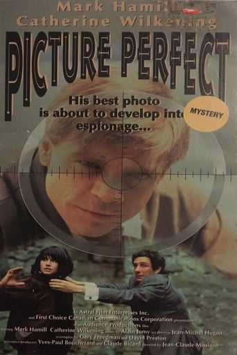 Poster of Picture Perfect