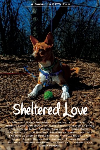 Poster of Sheltered Love
