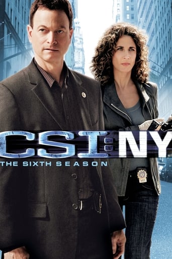 Portrait for CSI: NY - Season 6