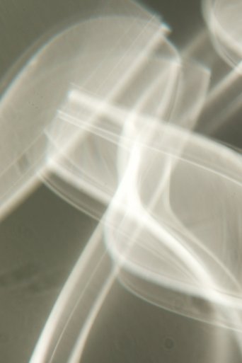 Poster of Blurry No More