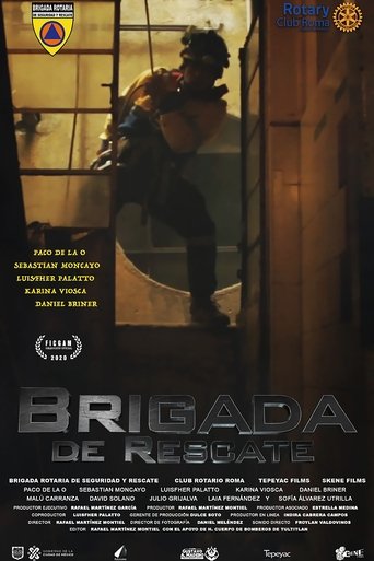 Poster of Rescue Brigade