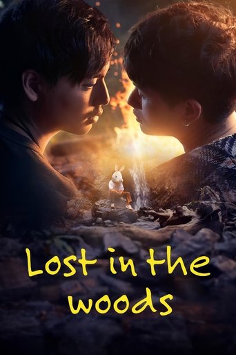 Lost in the Woods Poster of Lost in the Woods