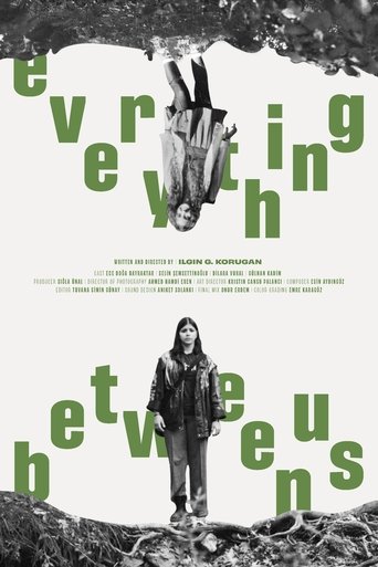Poster of Everything Between Us