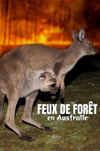 Bushfire Animal Rescue Poster of Bushfire Animal Rescue