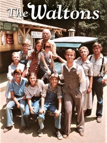 Poster of The Waltons