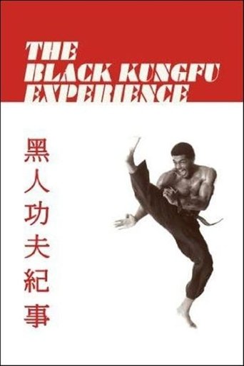 Poster of The Black Kung Fu Experience