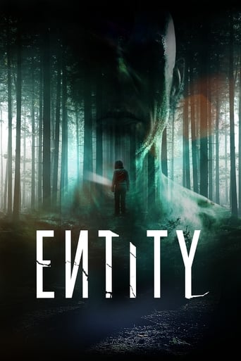 Poster of Entity