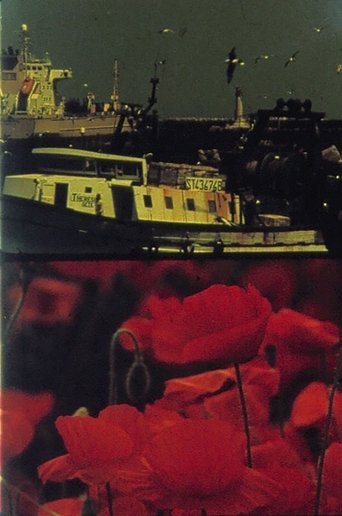 Poppies and Sailboats Poster of Poppies and Sailboats