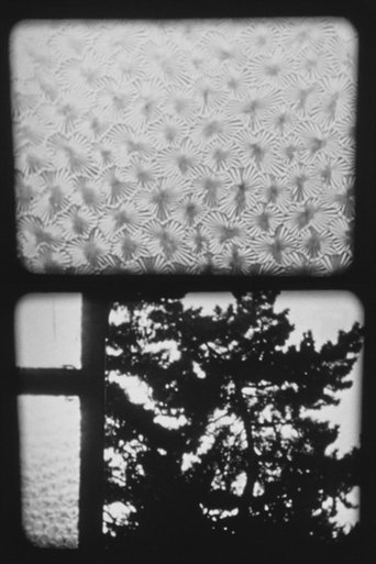 Poster of XVI/84 Fenster III