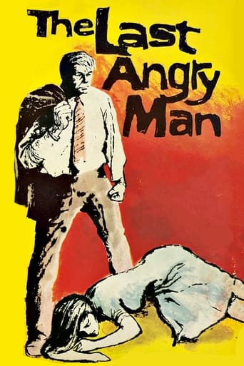 Poster of The Last Angry Man